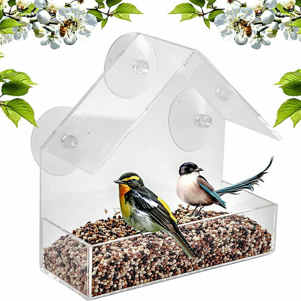 Window Hanging Bird Feeder