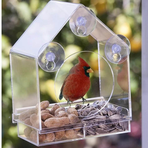 Window Hanging Bird Feeder