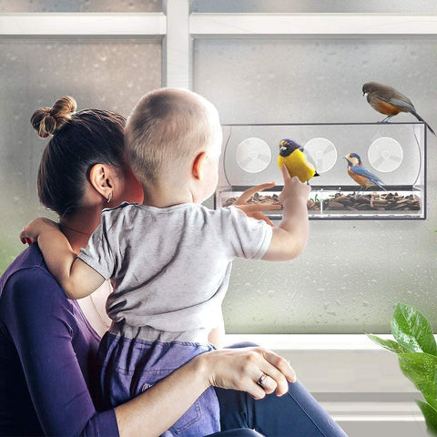Premium Window Bird Feeder