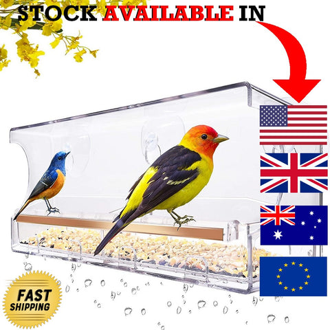 Premium Window Bird Feeder